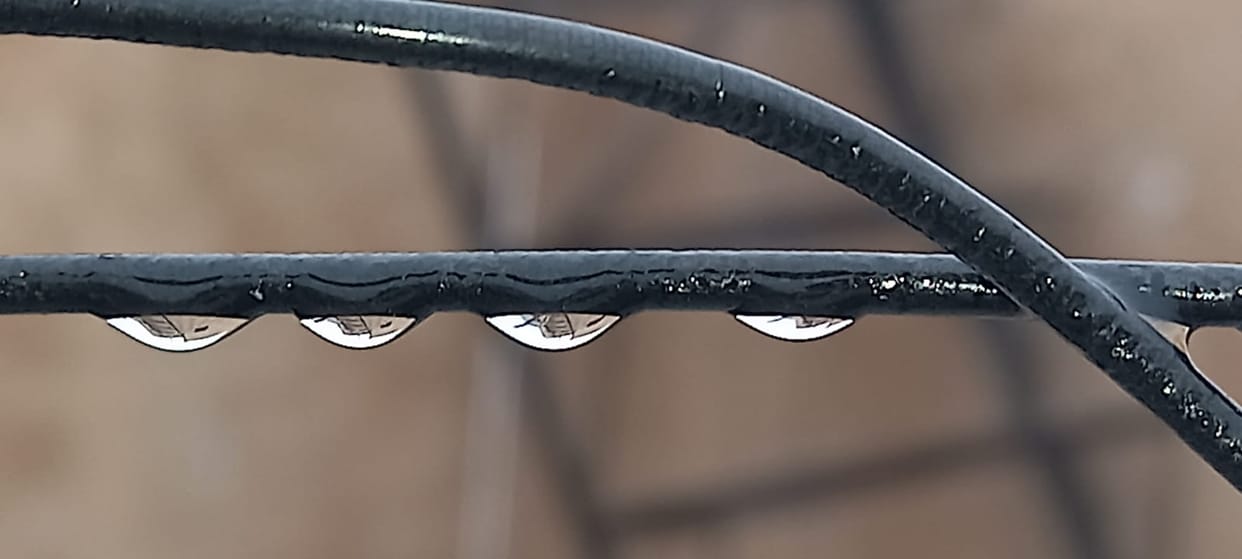 Weather news western Up: fog continues, temperature reached five degrees