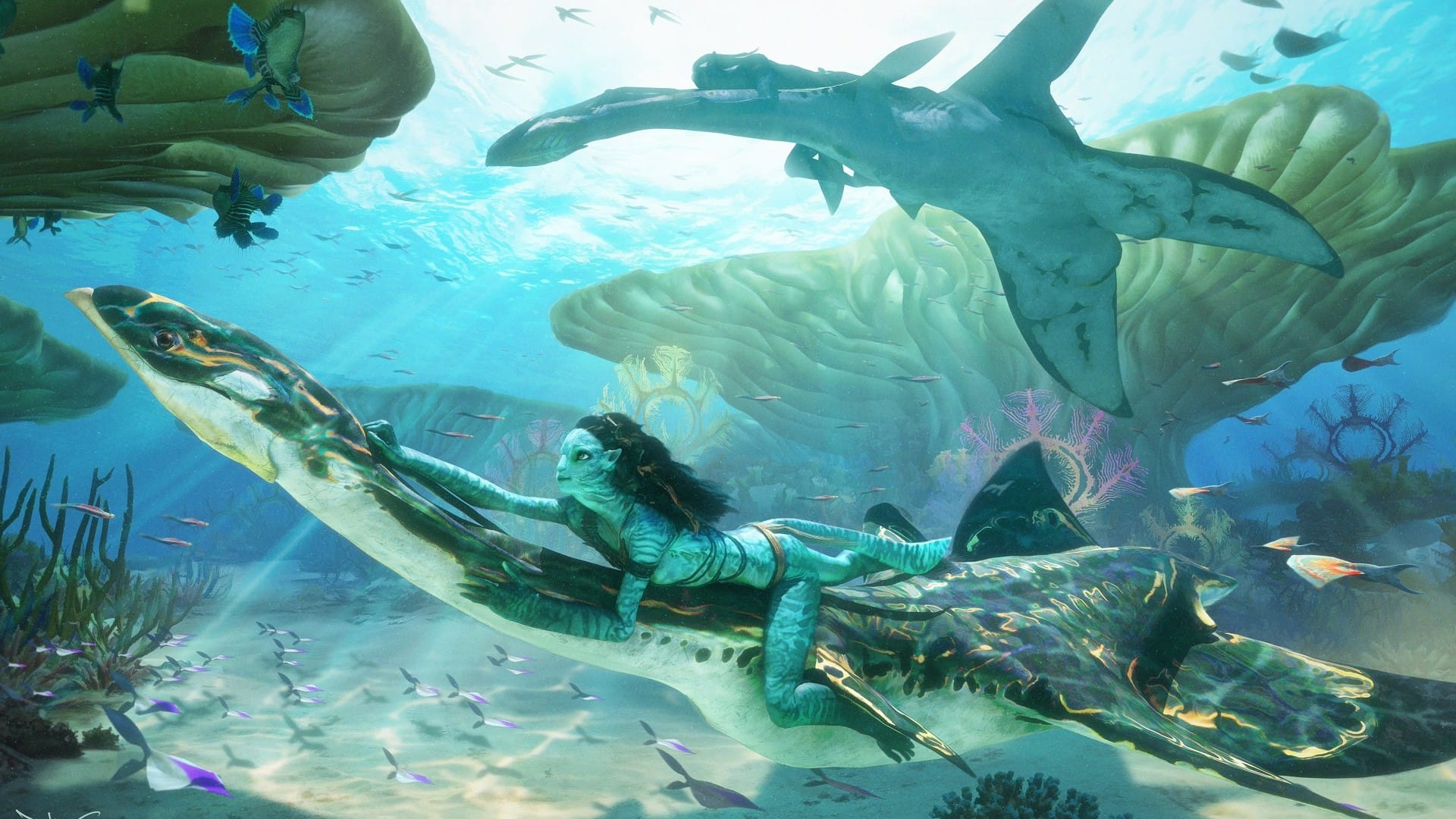 Avatar The Way of Water Week 1 Day 7 Box Office Collection becomes second highest grosser in india