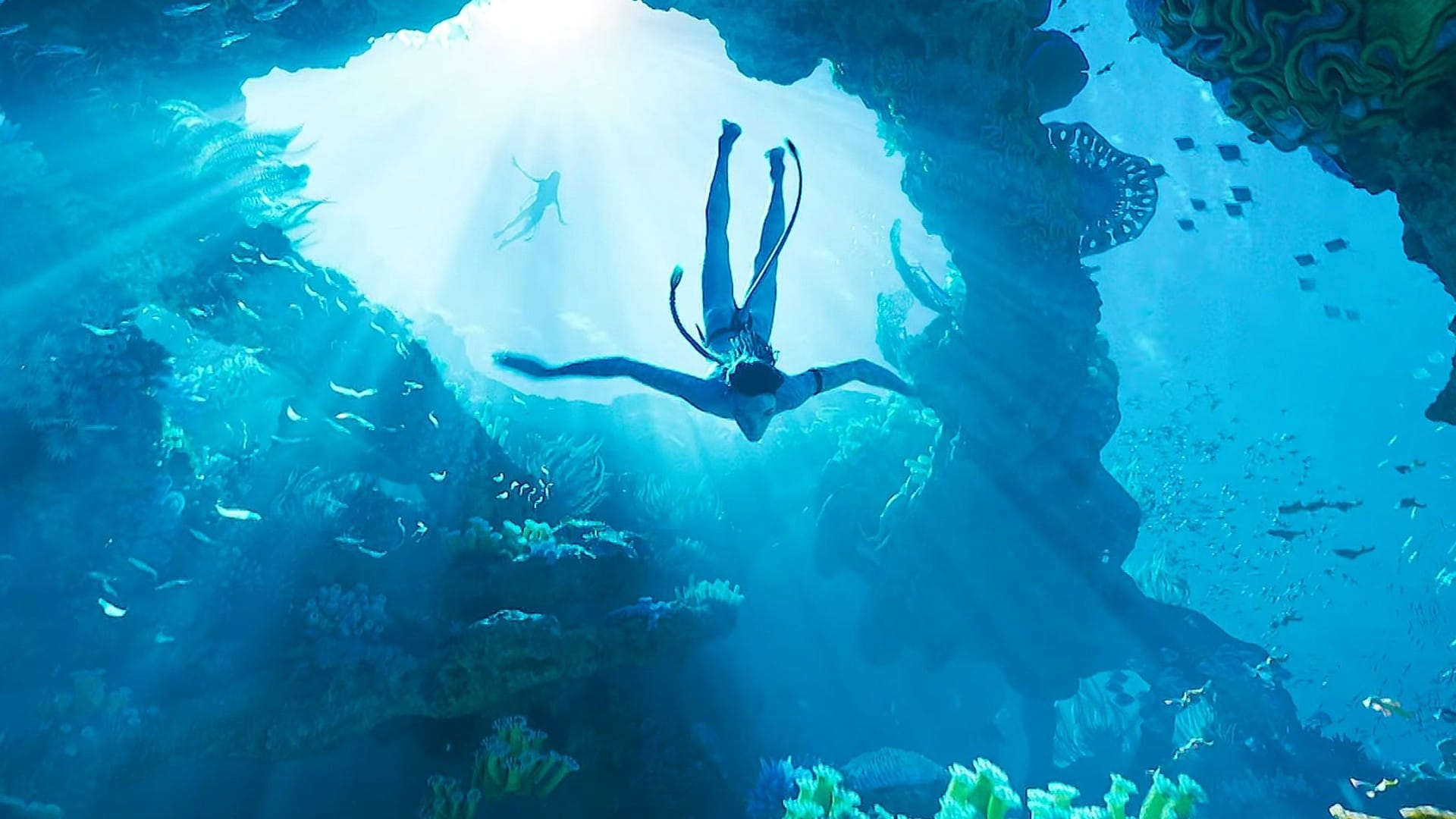 Avatar The Way of Water Week 1 Day 7 Box Office Collection becomes second highest grosser in india