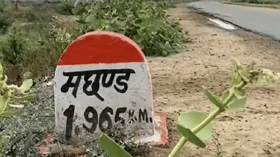 A Cat Became A Reason For Rivalry in Two Families In Bhind District MP Latest News