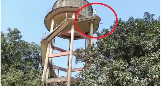 PHOTOS: Woman climbed on water tank in Bhadohi, serious allegations on Tehsil administration