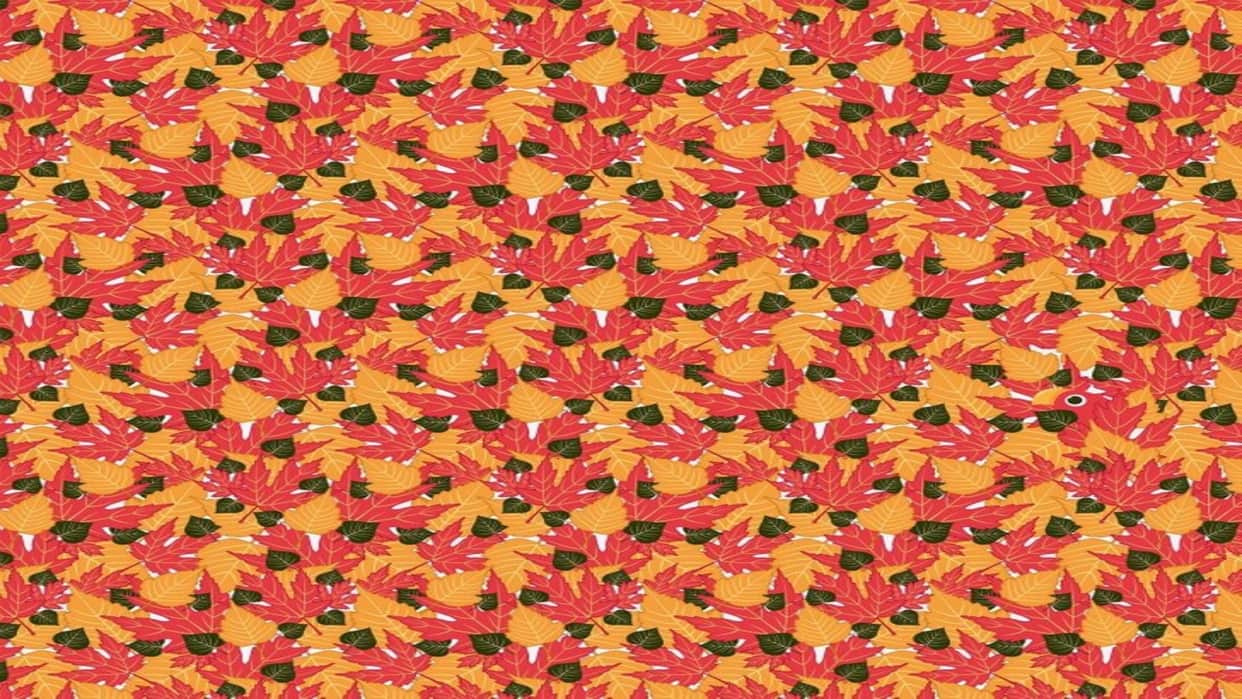 Optical illusion: only a genius can spot hidden parrot in THIS pic check your iq