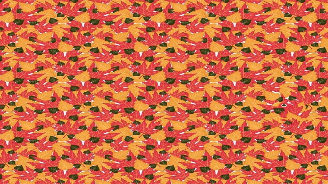 Optical illusion: only a genius can spot hidden parrot in THIS pic check your iq