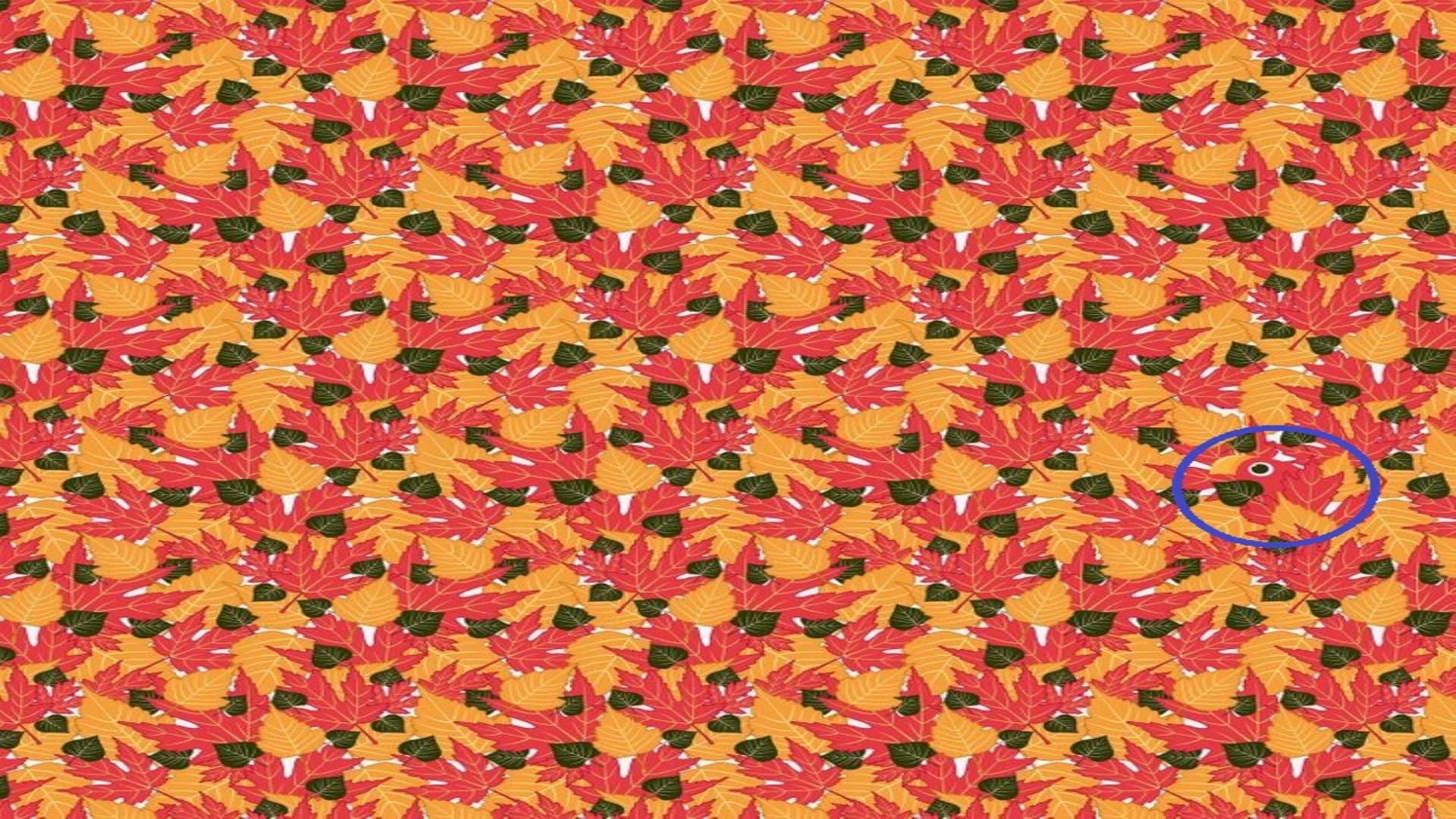 Optical illusion: only a genius can spot hidden parrot in THIS pic check your iq