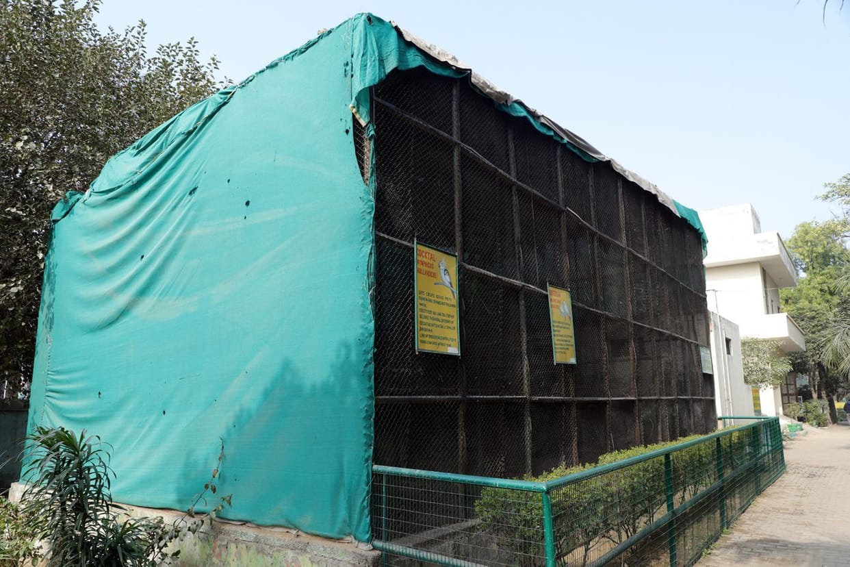 Now the visitors will be enticed by the enclosures of wild animals in the miniature zoo