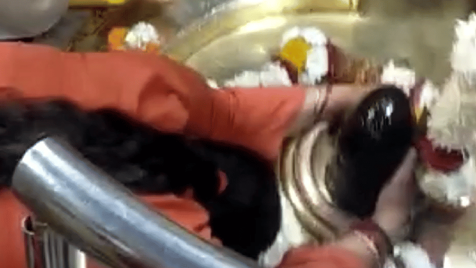 MP News: Uma Bharti got angry after seeing Nandi imprisoned in Omkareshwar, broke the lattice