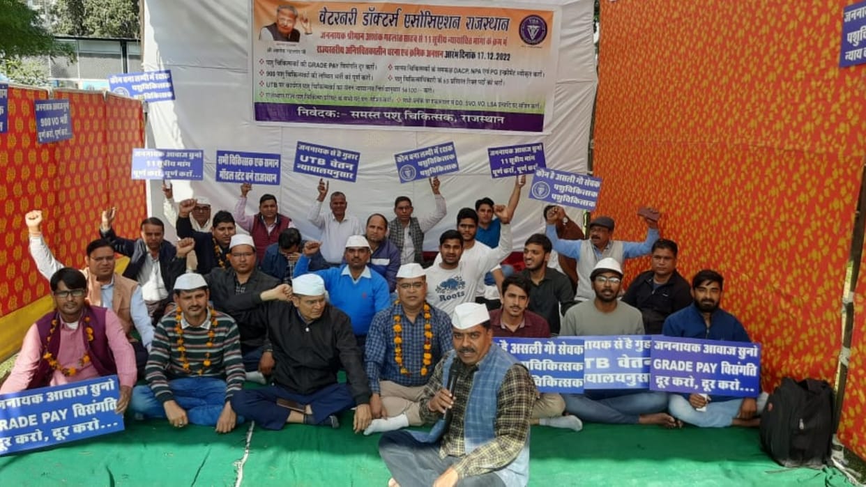 Veterinary doctors on strike for 11 point demands in Jaipur