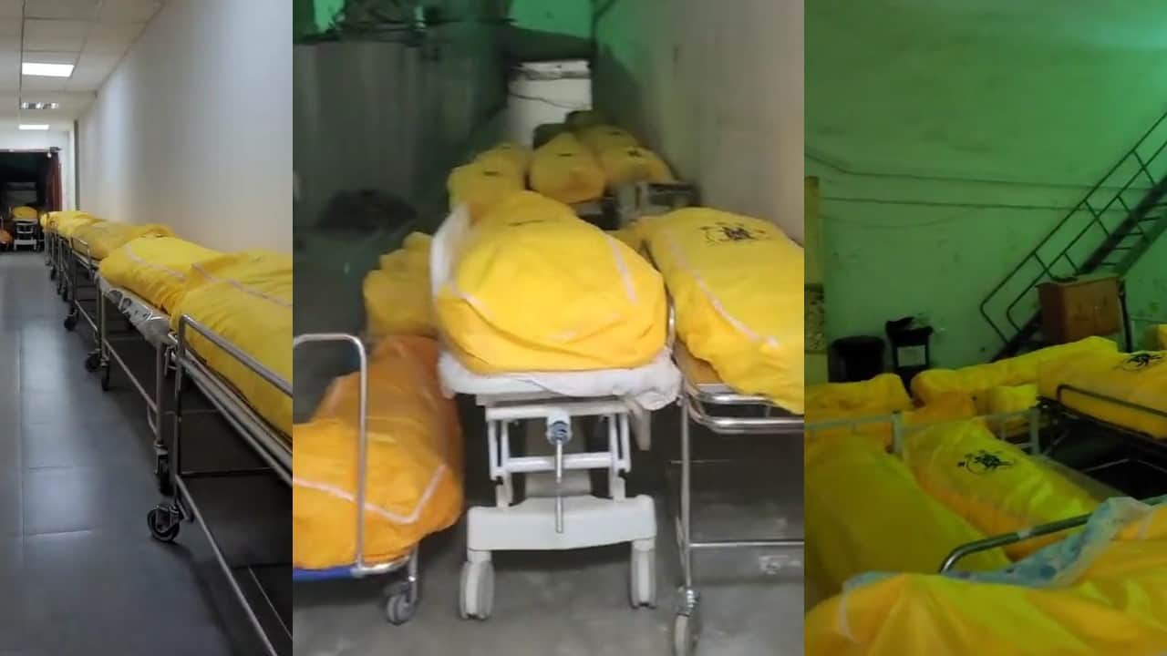248 million Chinese citizens infected in 20 days, cold storages filled with dead bodies china corona
