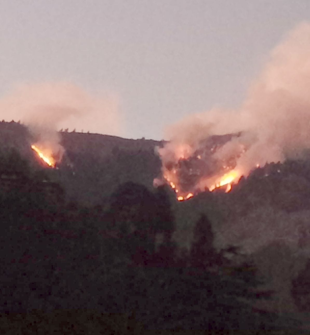 forest fire in edashi nither