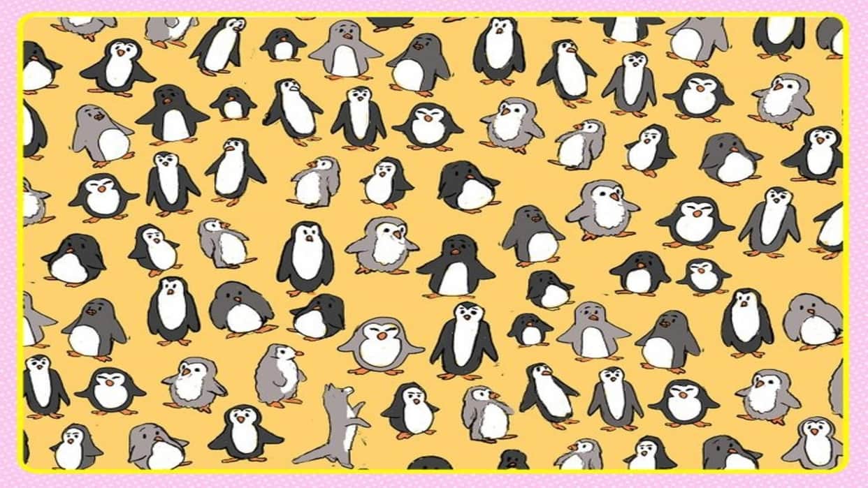 Optical illusion Iq Test: Can you find fox hidden in This pic Check Your Brain Puzzle