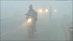 cold wave