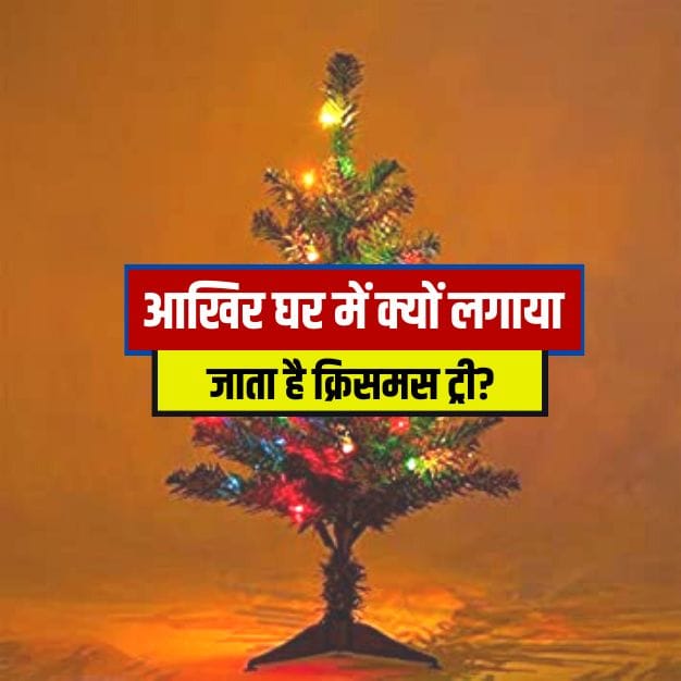 christmas 2022: Why is a Christmas tree planted at home?