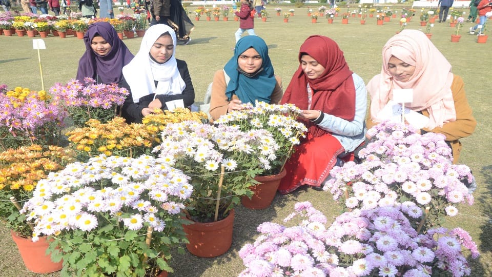 Gul-e-daudi coleus and rose flower exhibition organized in AMU