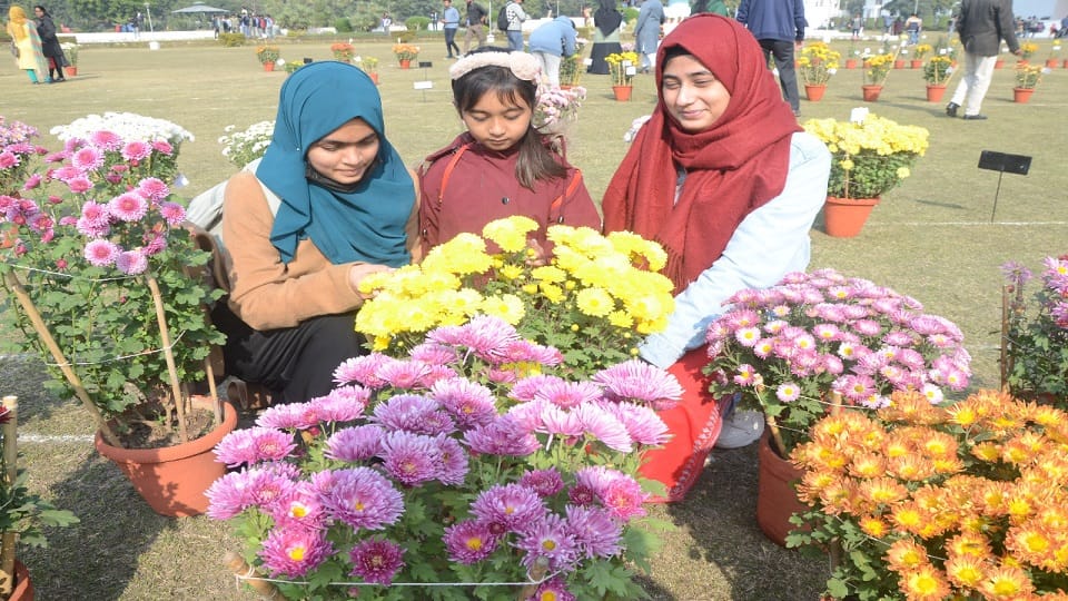 Gul-e-daudi coleus and rose flower exhibition organized in AMU