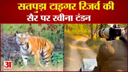 Raveena Tandon on Satpura Tiger Reserve visit again after controversy shared tiger videos from Safari