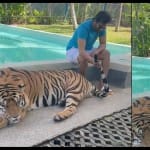 बाघ के साथ अभिनेता संथानम