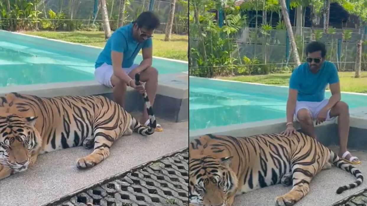South actor santhanam share video with tiger at petting  zoo twitter calls it animal abuse