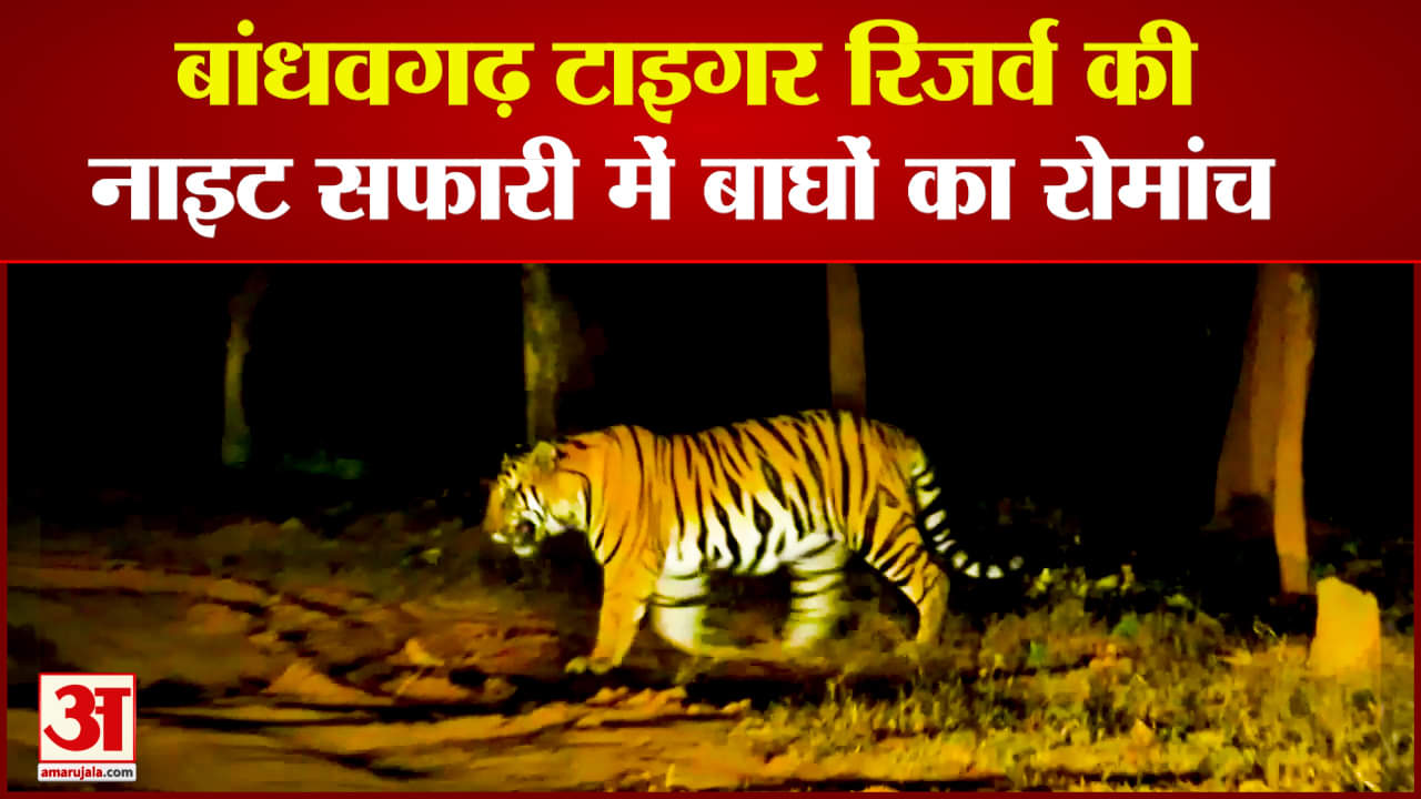 बांधवगढ़ नेशनल पार्क