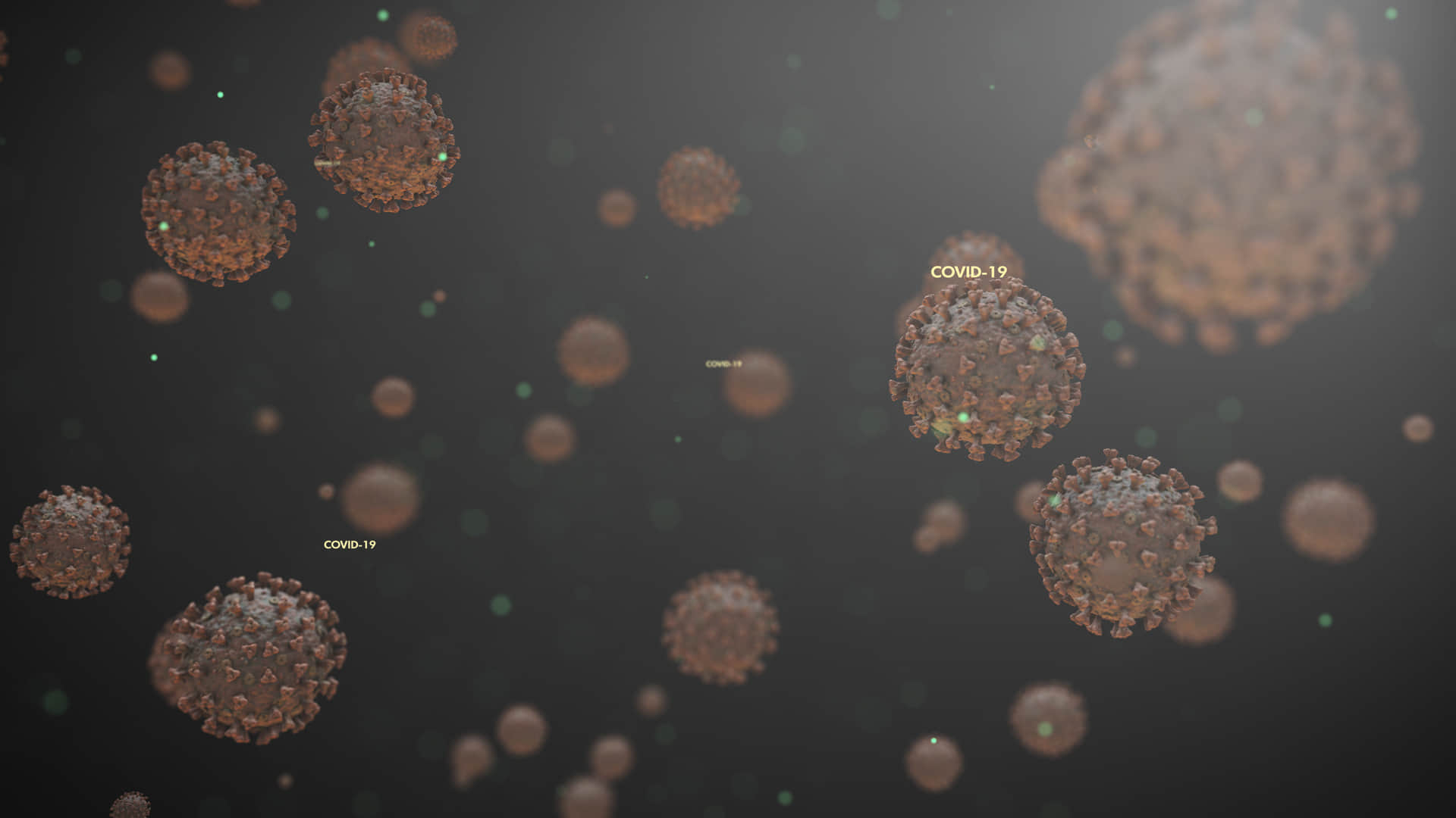 China Wuhan Lab Origin of Coronavirus Know How Scientists Work With Biosafety Level 4