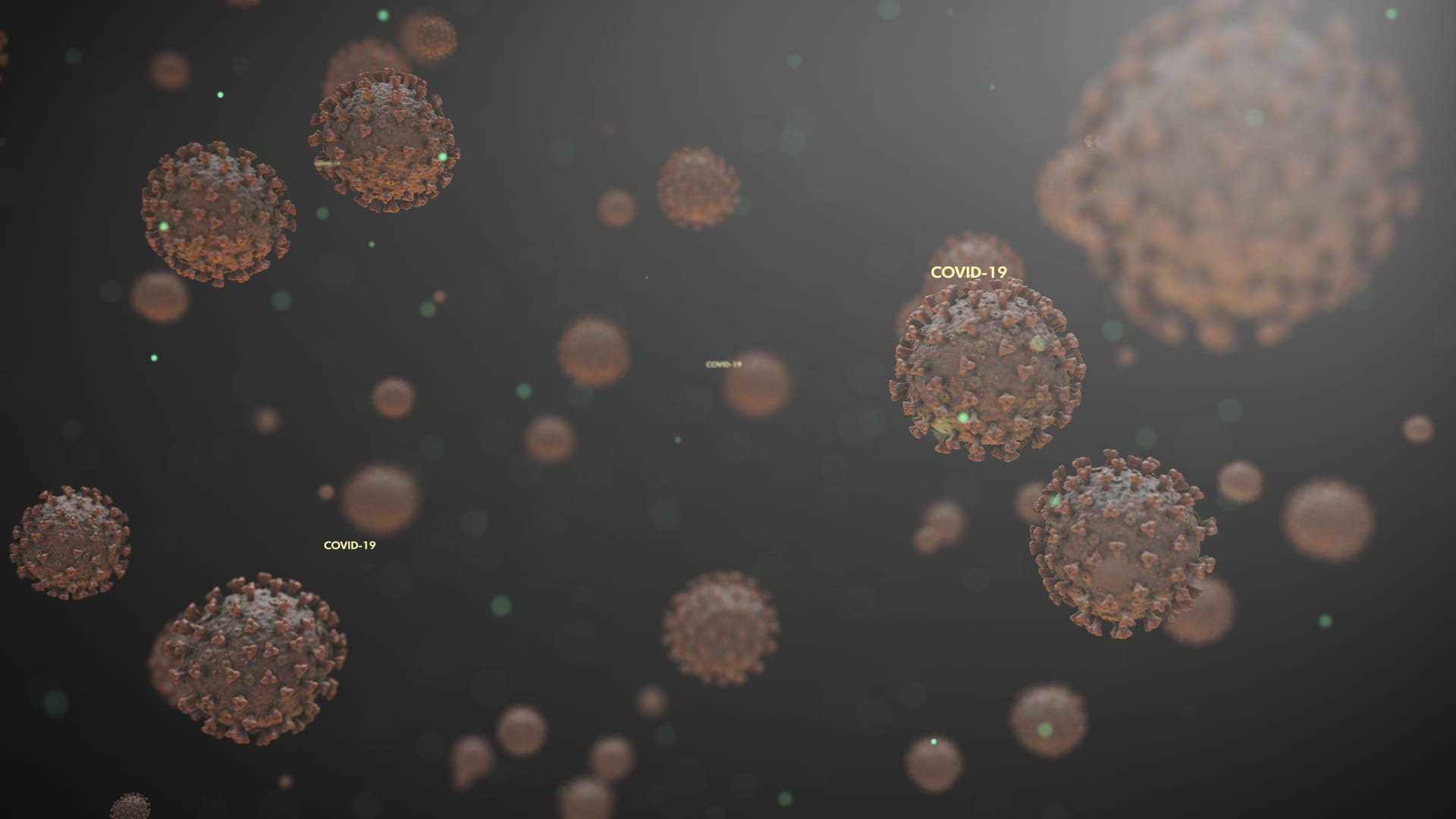 China Wuhan Lab Origin of Coronavirus Know How Scientists Work With Biosafety Level 4