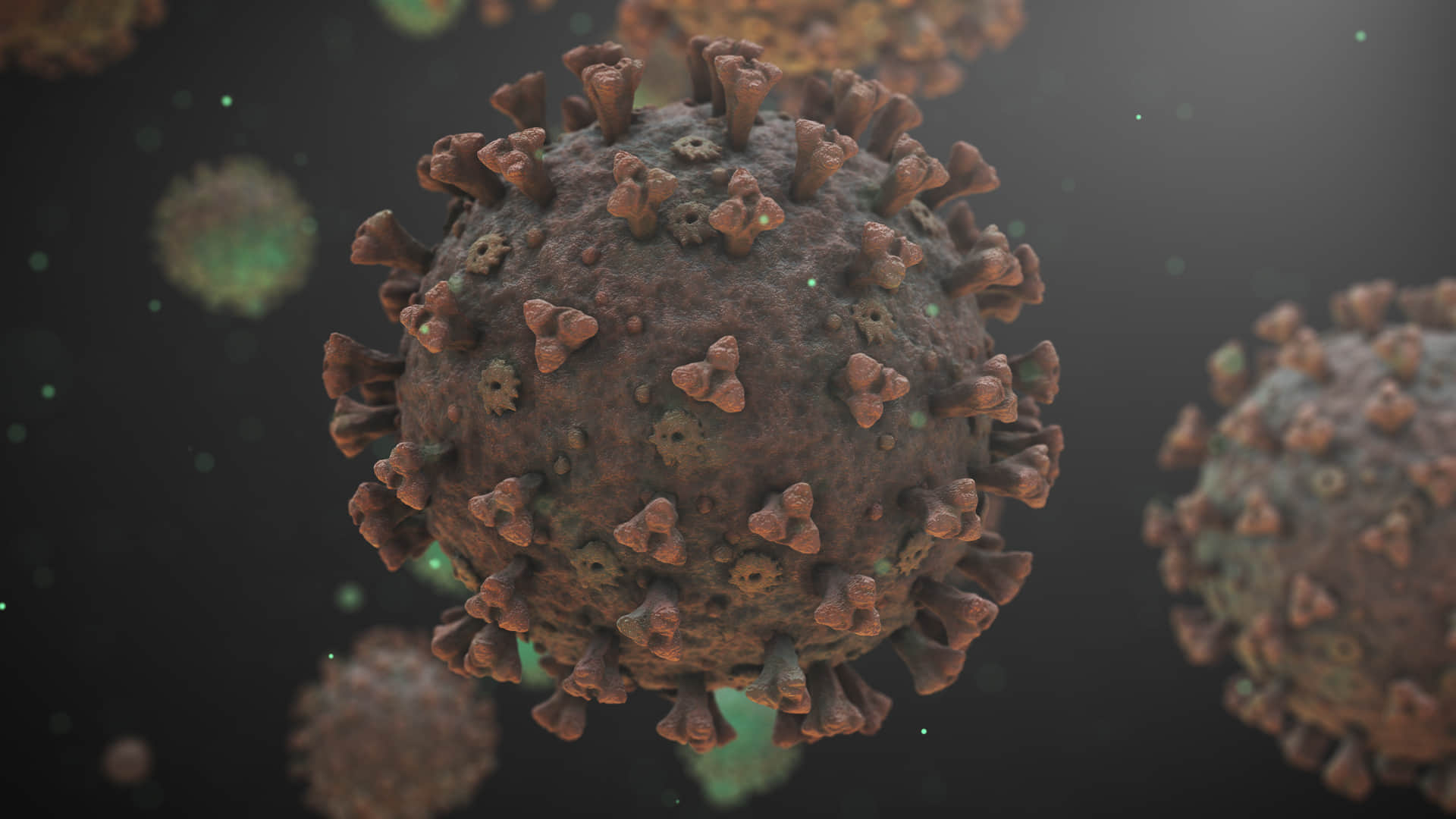 China Wuhan Lab Origin of Coronavirus Know How Scientists Work With Biosafety Level 4