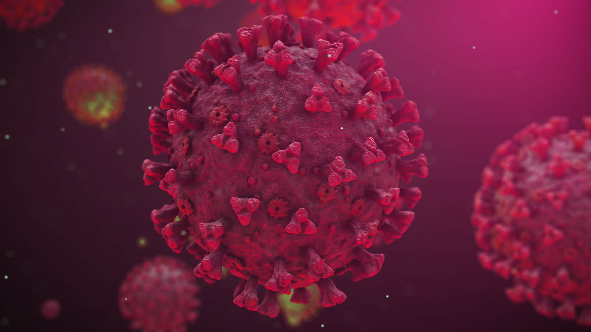 China Wuhan Lab Origin of Coronavirus Know How Scientists Work With Biosafety Level 4