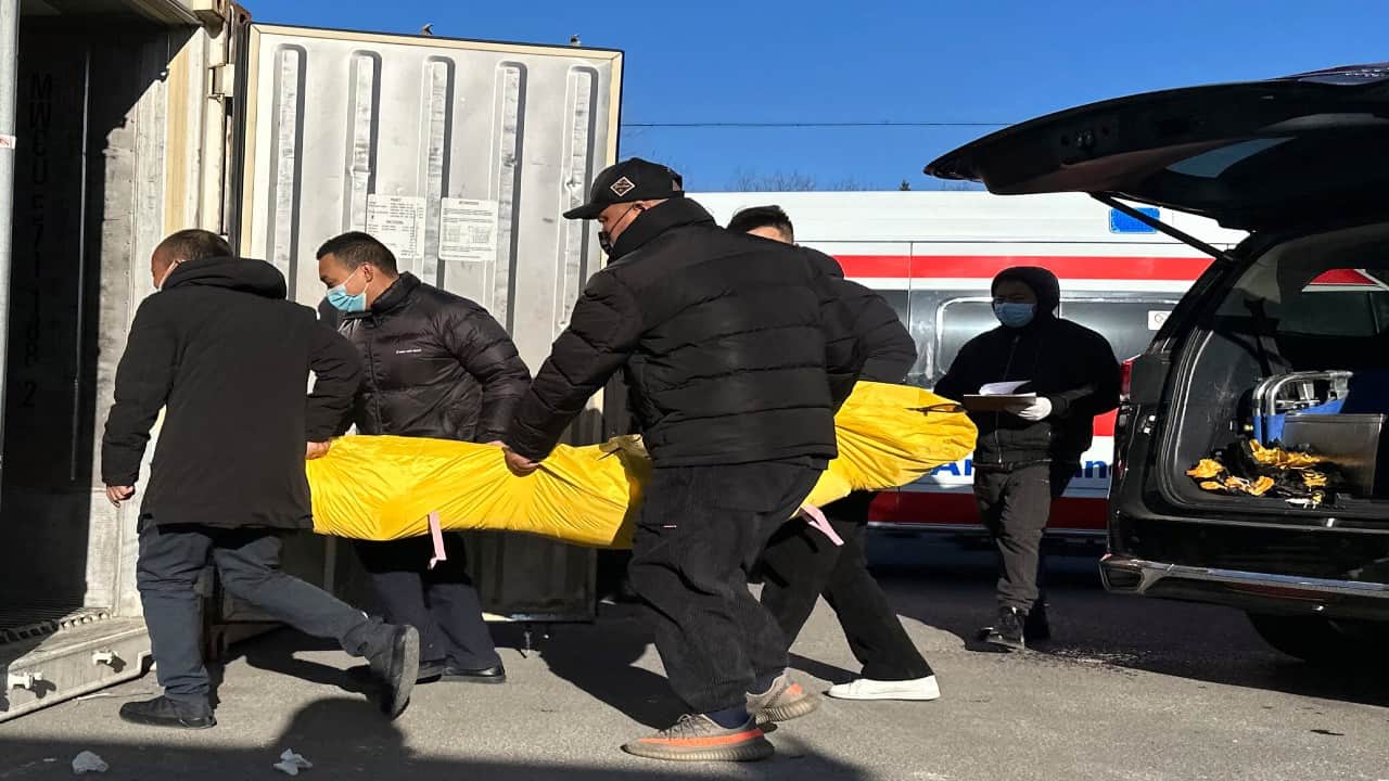 248 million Chinese citizens infected in 20 days, cold storages filled with dead bodies china corona