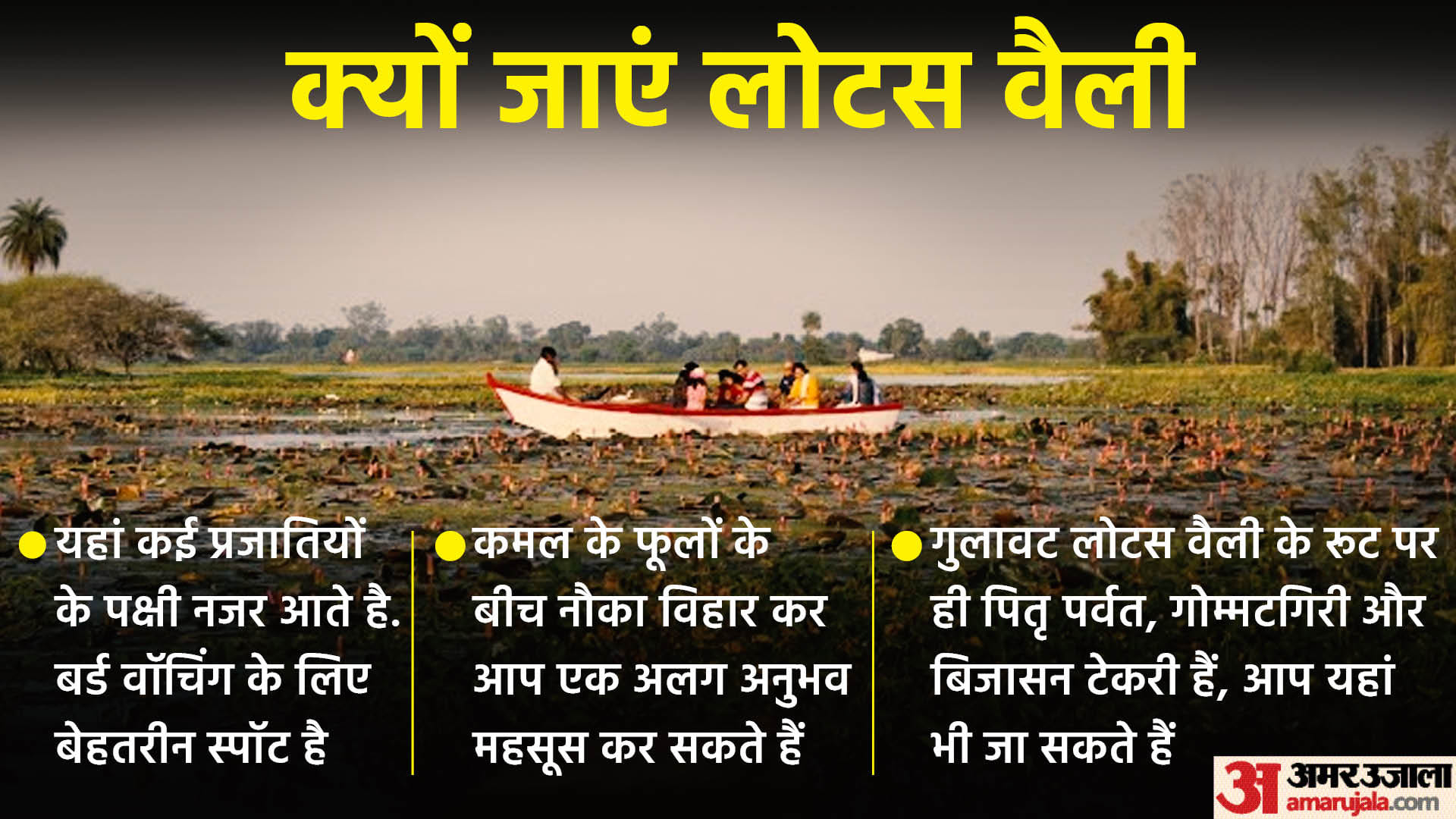 Lotus Valley Indore:नए साल में कीजिए खूबसूरत लोटस वैली की सैर, जाने से ...