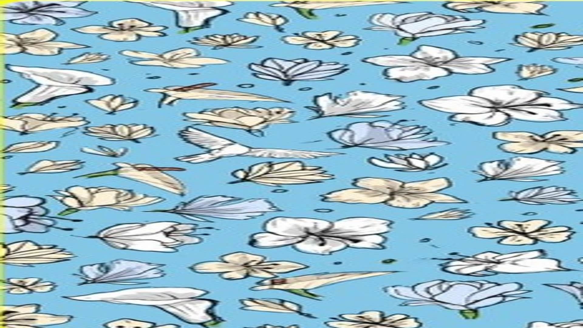 optical illusion hidden Bird can you spot hidden  pigeon within in 7 seconds check your brain iq