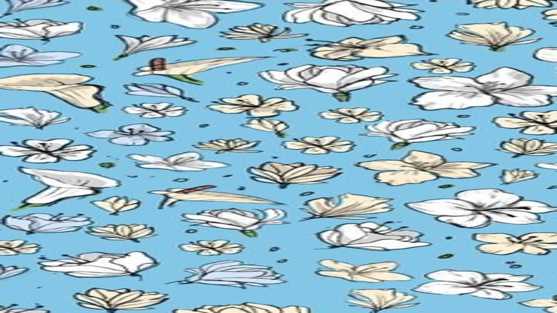 optical illusion hidden Bird can you spot hidden  pigeon within in 7 seconds check your brain iq