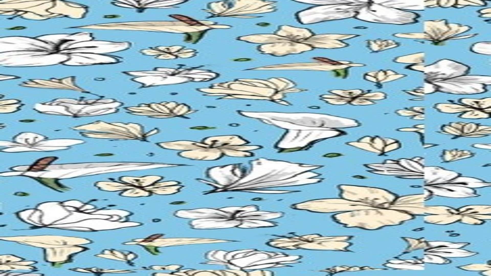 optical illusion hidden Bird can you spot hidden  pigeon within in 7 seconds check your brain iq