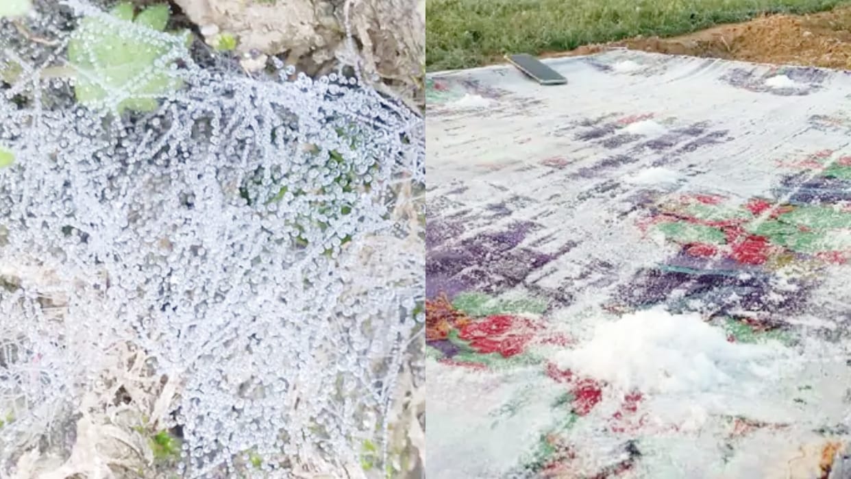 Rajasthan Weather Severe winter from drops of dew to water in taps Mercury in minus in Mountabu