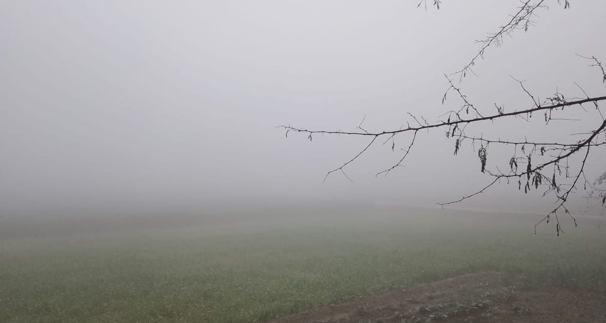 Mercury reached 1.6 degree Celsius in Chandawas, the third coldest district in the state