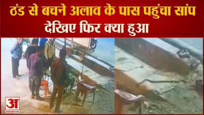 snake reached near the bonfire to avoid cold people ran away in fear in Jabalpur watch viral video