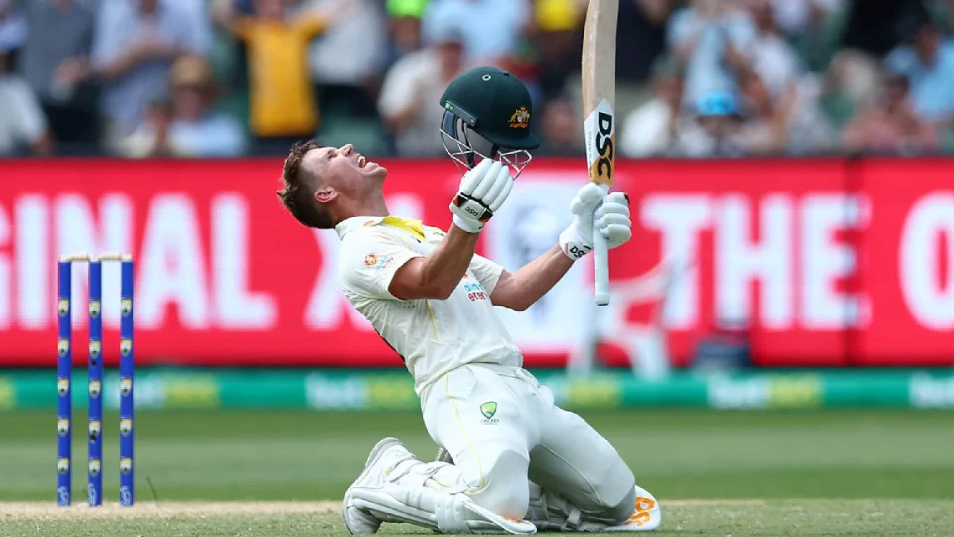 Video watch David Warner injured After double century in 100th Test Steve Smith missed century Aus vs SA Test