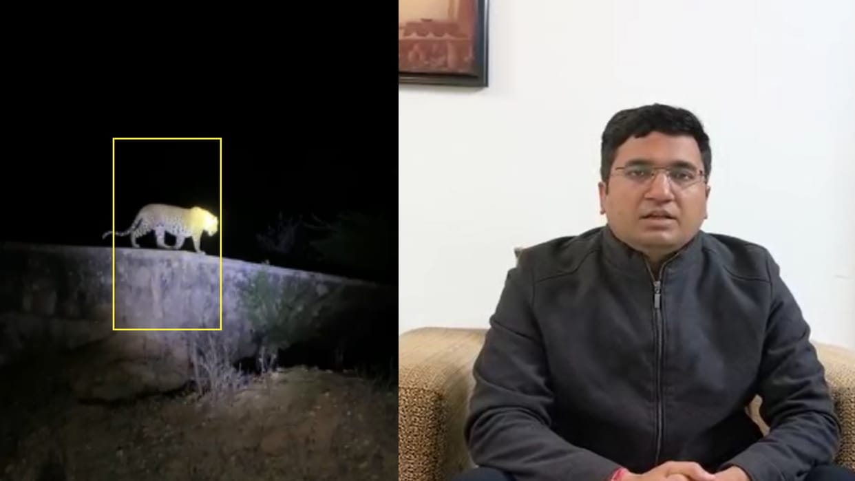 Meerut: Leopard seen late night in cantonment area, people in panic