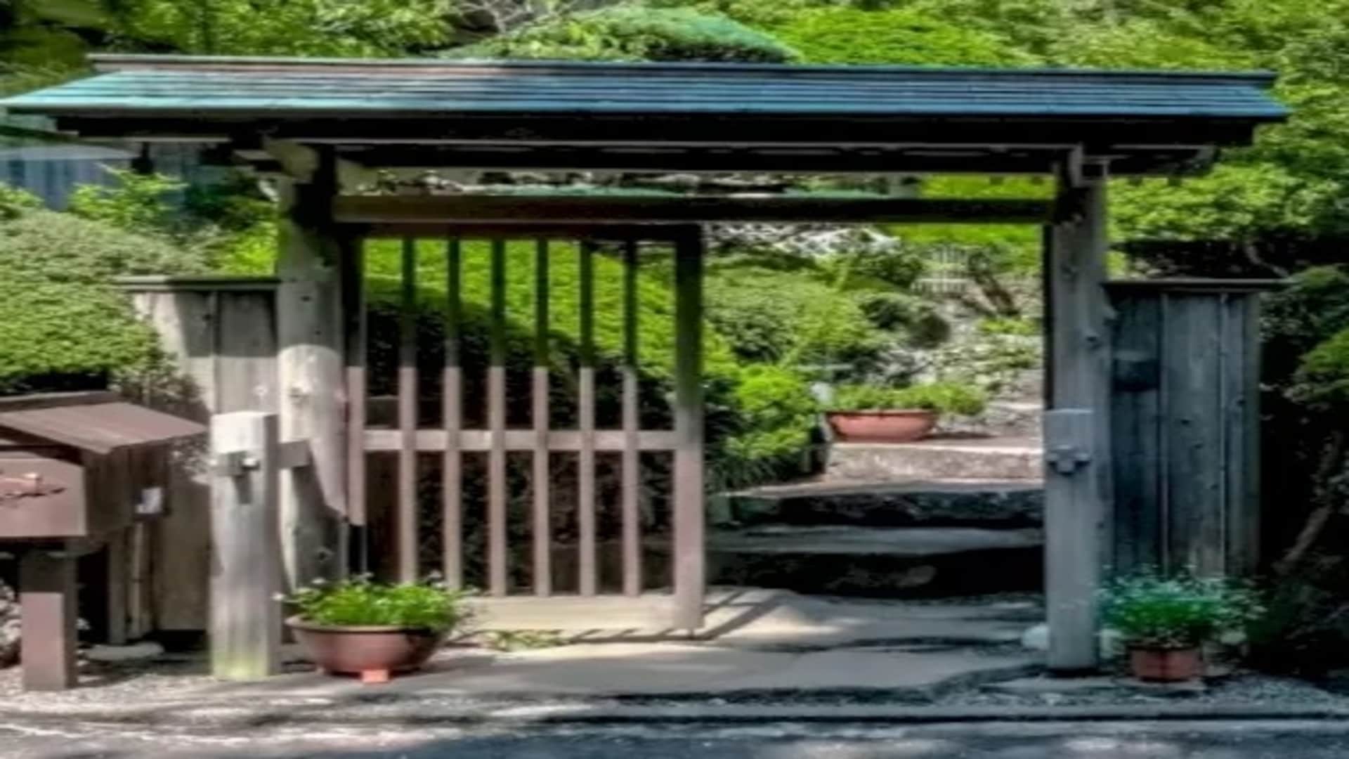 Optical Illusion: Can You Spot The Hen In This Image Within 20 Seconds Check Your Brain Iq picture puzzle