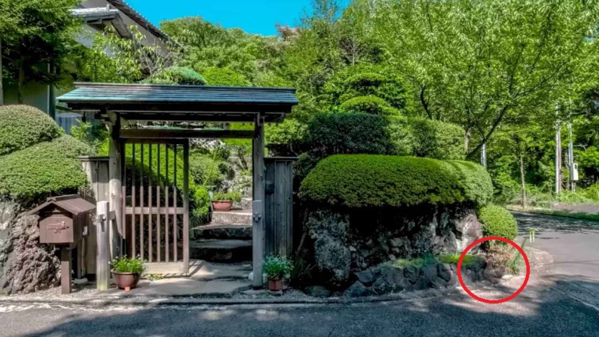 Optical Illusion: Can You Spot The Hen In This Image Within 20 Seconds Check Your Brain Iq picture puzzle