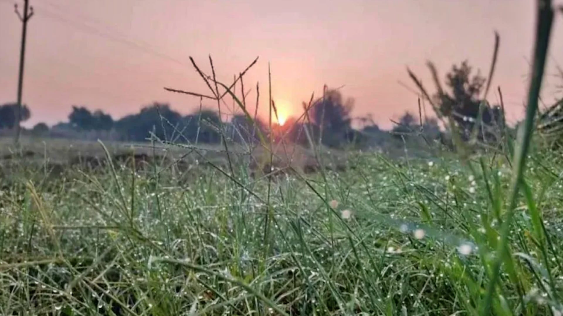 शिवपुरी में दो दिन की बारिश के बाद निकली धूप