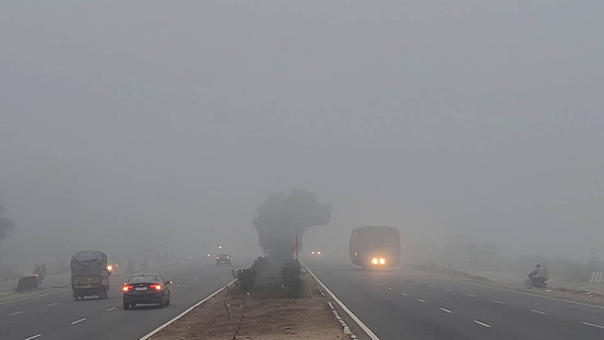 एमपी मौसम आज: प्रदेश के कई जिलों में घना कोहरा रहने के आसार हैं।