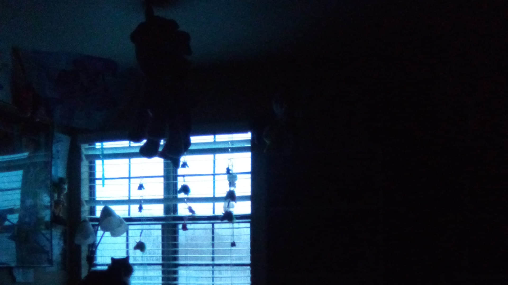 Bomb cyclone caused havoc in many countries including America, see how people were affected in these pictures