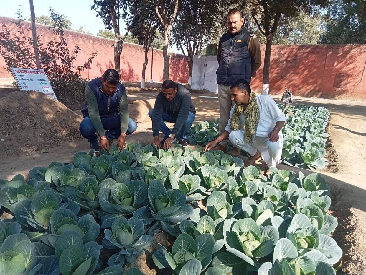 Farming of organic vegetables started due to hard work of prisoners in jail