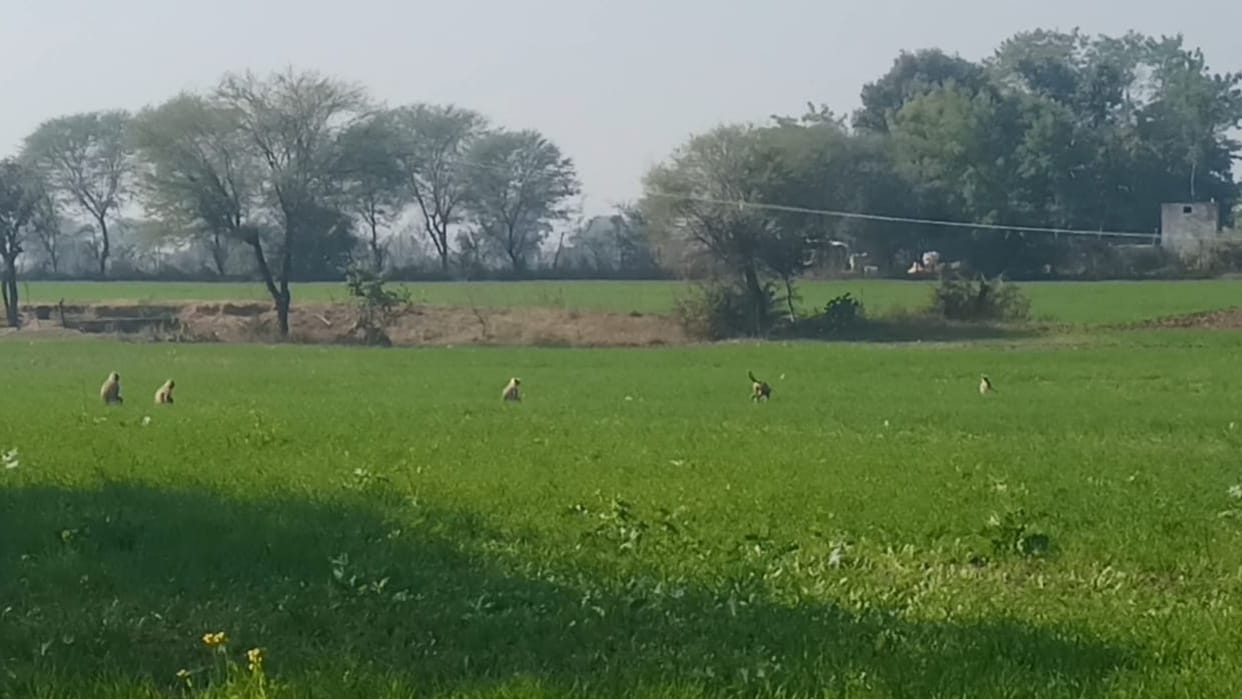 Aligarh administration no land map of 47 villages of five tehsils
