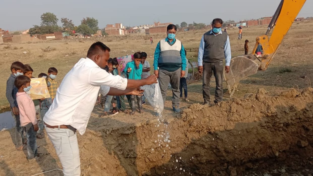 African swine fever spread in pigs in Damoh killing and burying sick animals started