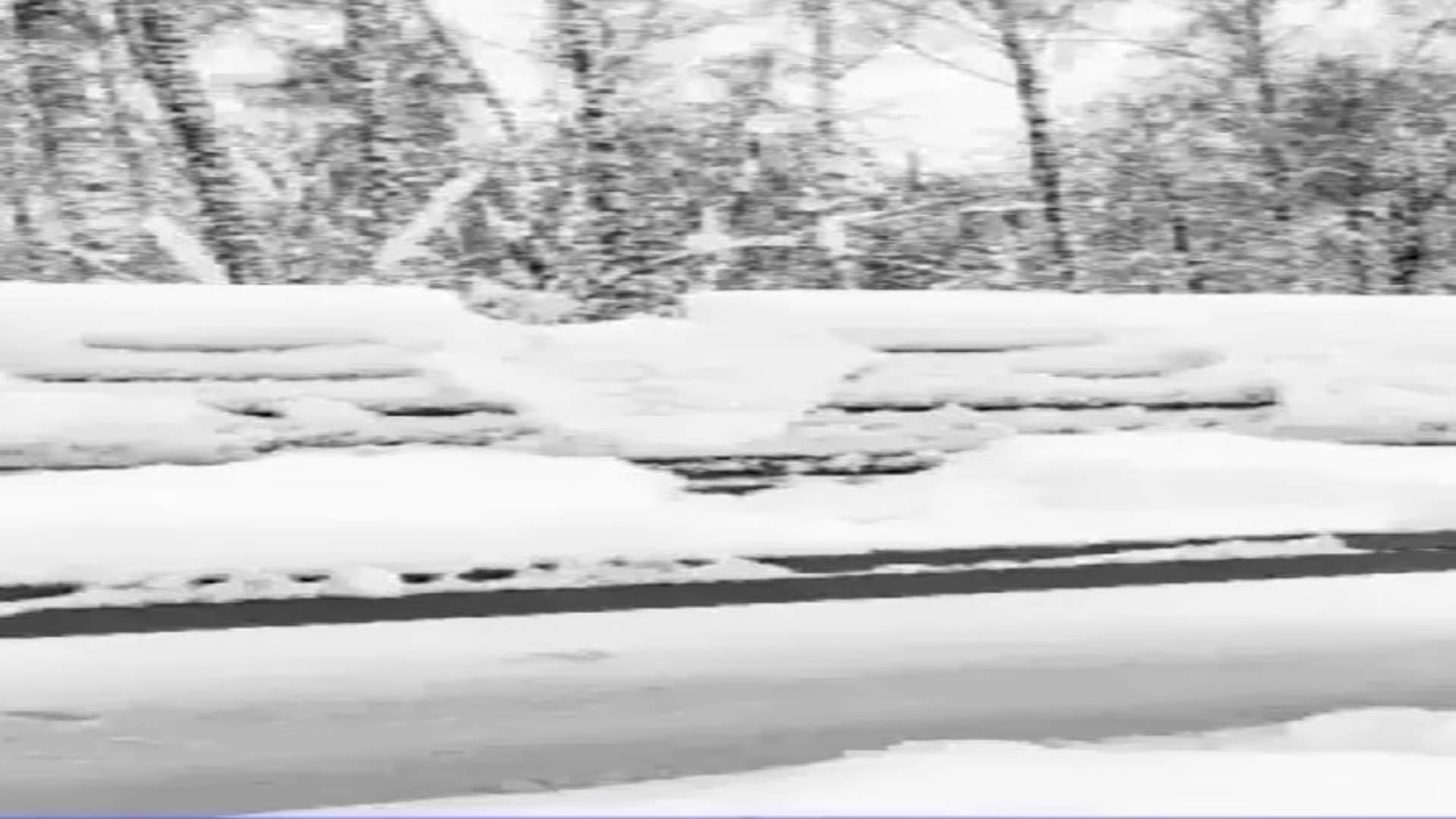 Optical illusion: Spot the hidden rabbit in picture in 20 seconds check your brain iq