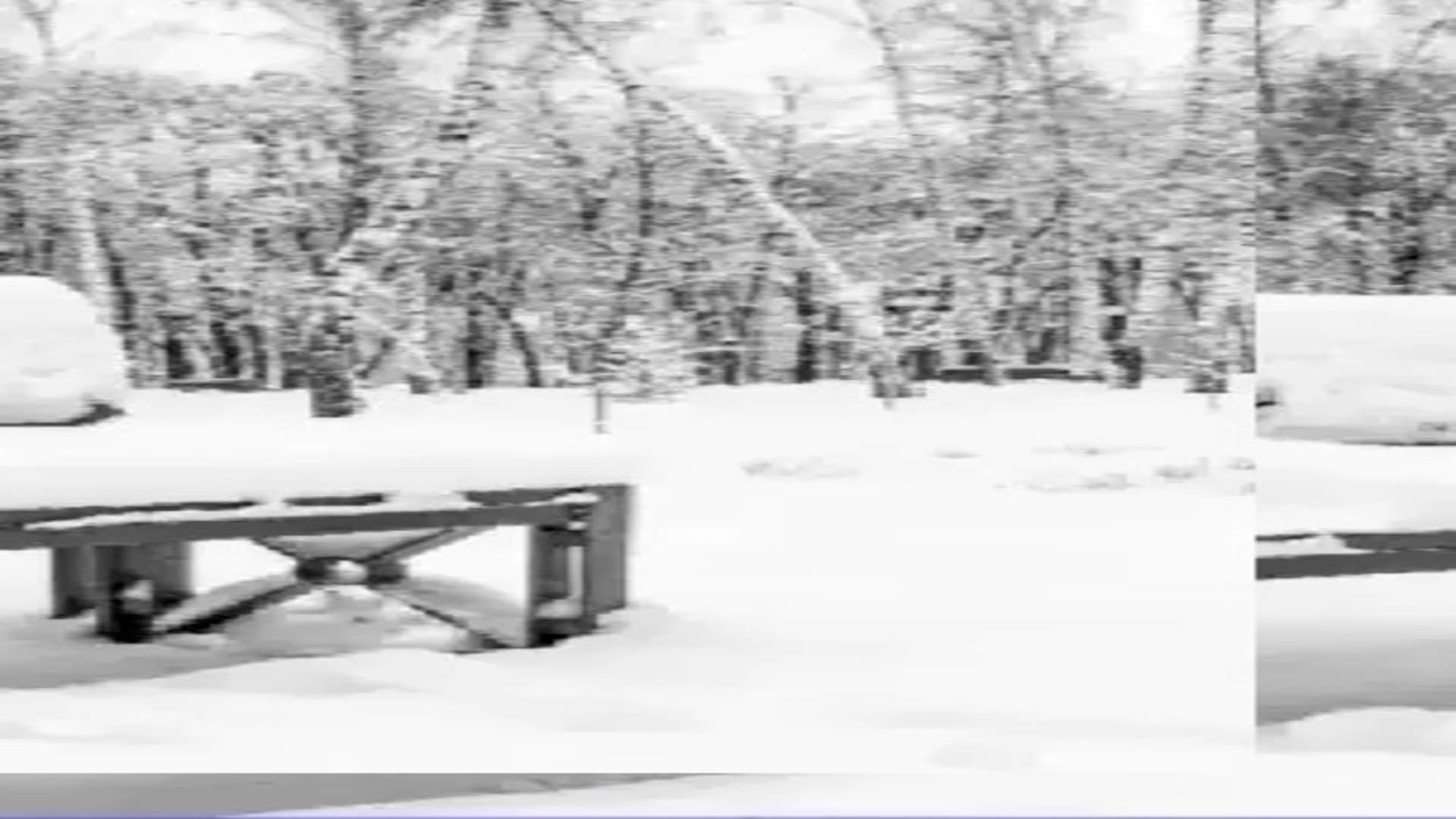 Optical illusion: Spot the hidden rabbit in picture in 20 seconds check your brain iq