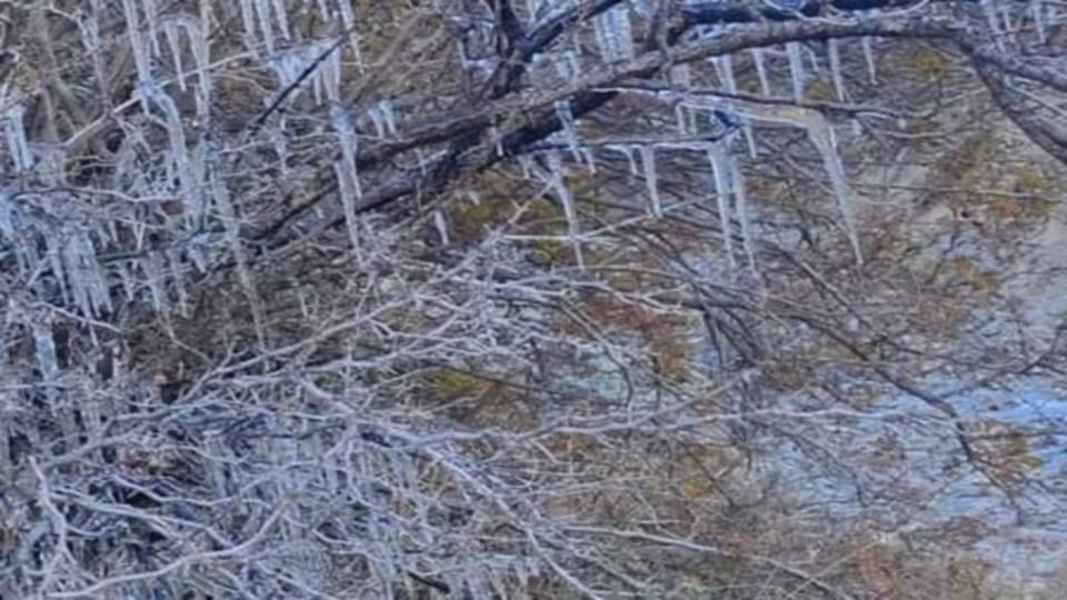 Uttarakhand weather Today: Lowest temperature recorded in haridwar after 37 years for the first time