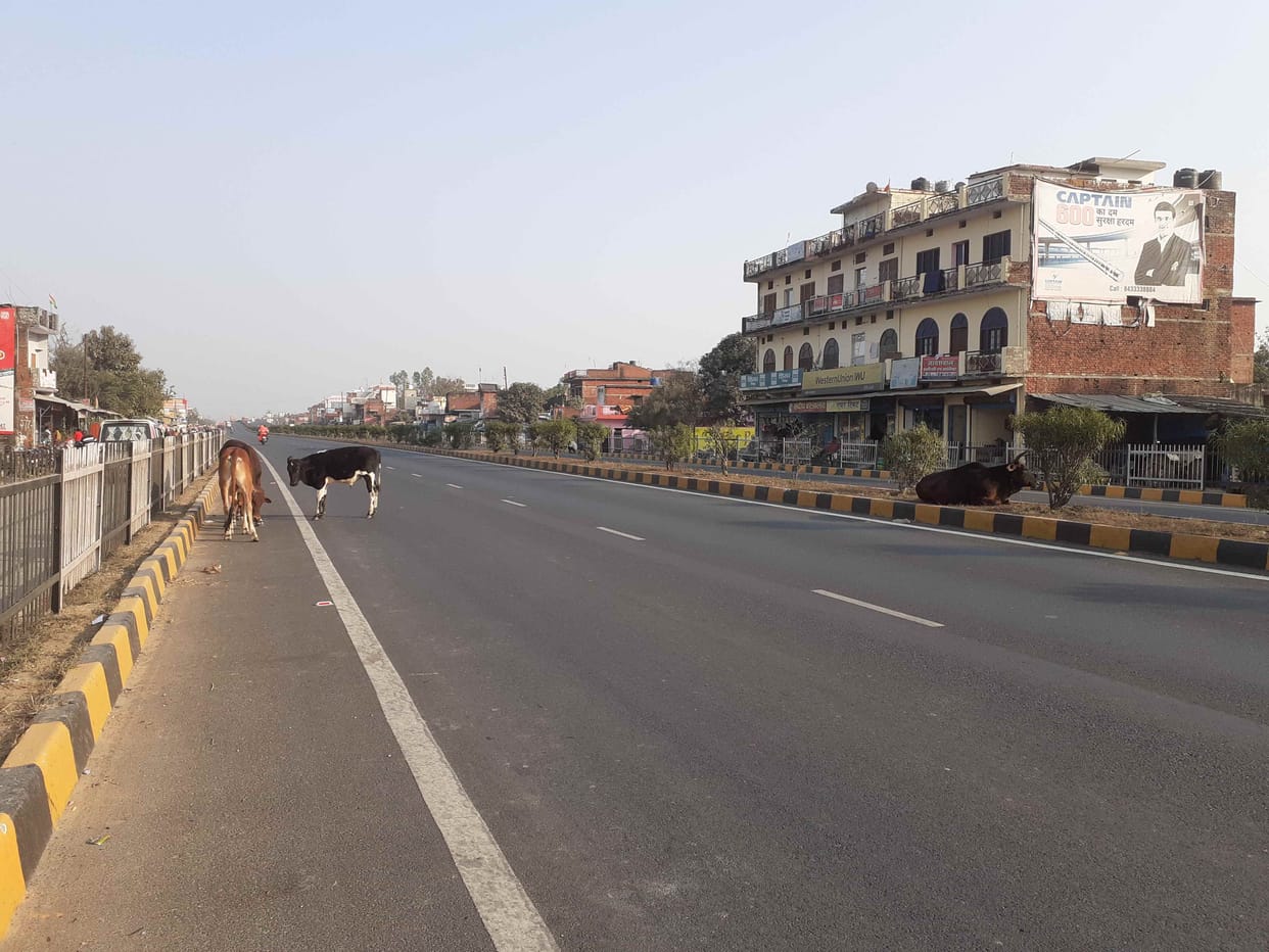 Risk remains, vehicles not removed, cattle still stand