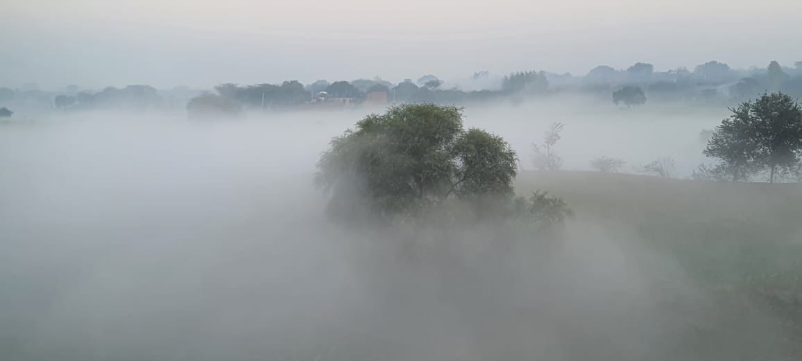 Kanpur Dehat: Fields covered with fog, melting increased due to icy wind blowing at a speed of 7.3 km per hour