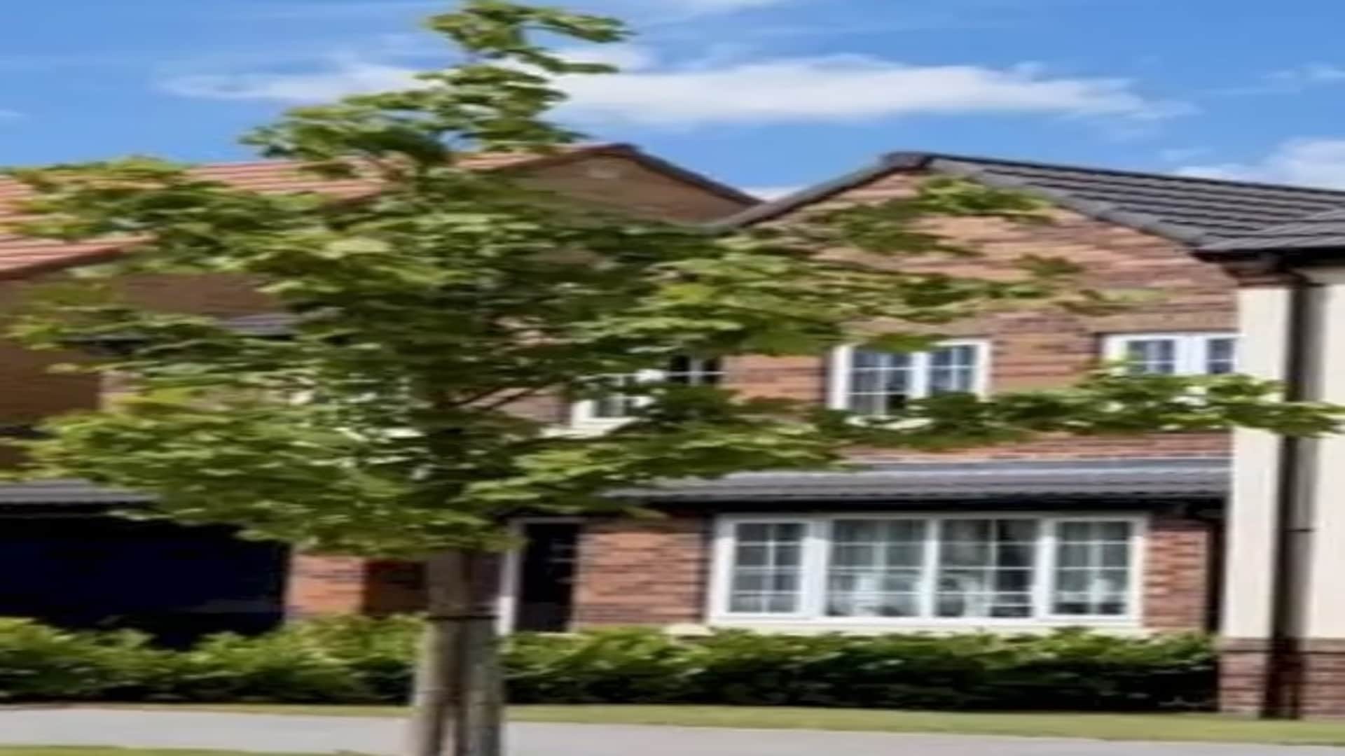 Optical illusion: Spot the hidden horse in picture in 10 seconds check your brain iq